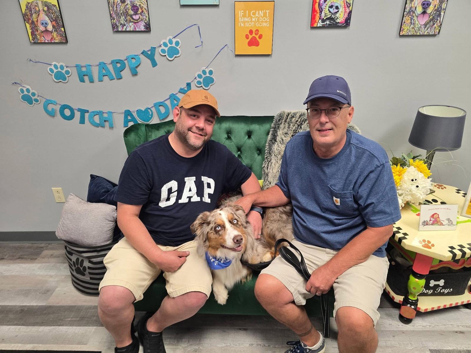 Loki, a Adopted Australian Shepherd in Tonawanda, NY image 2/3
