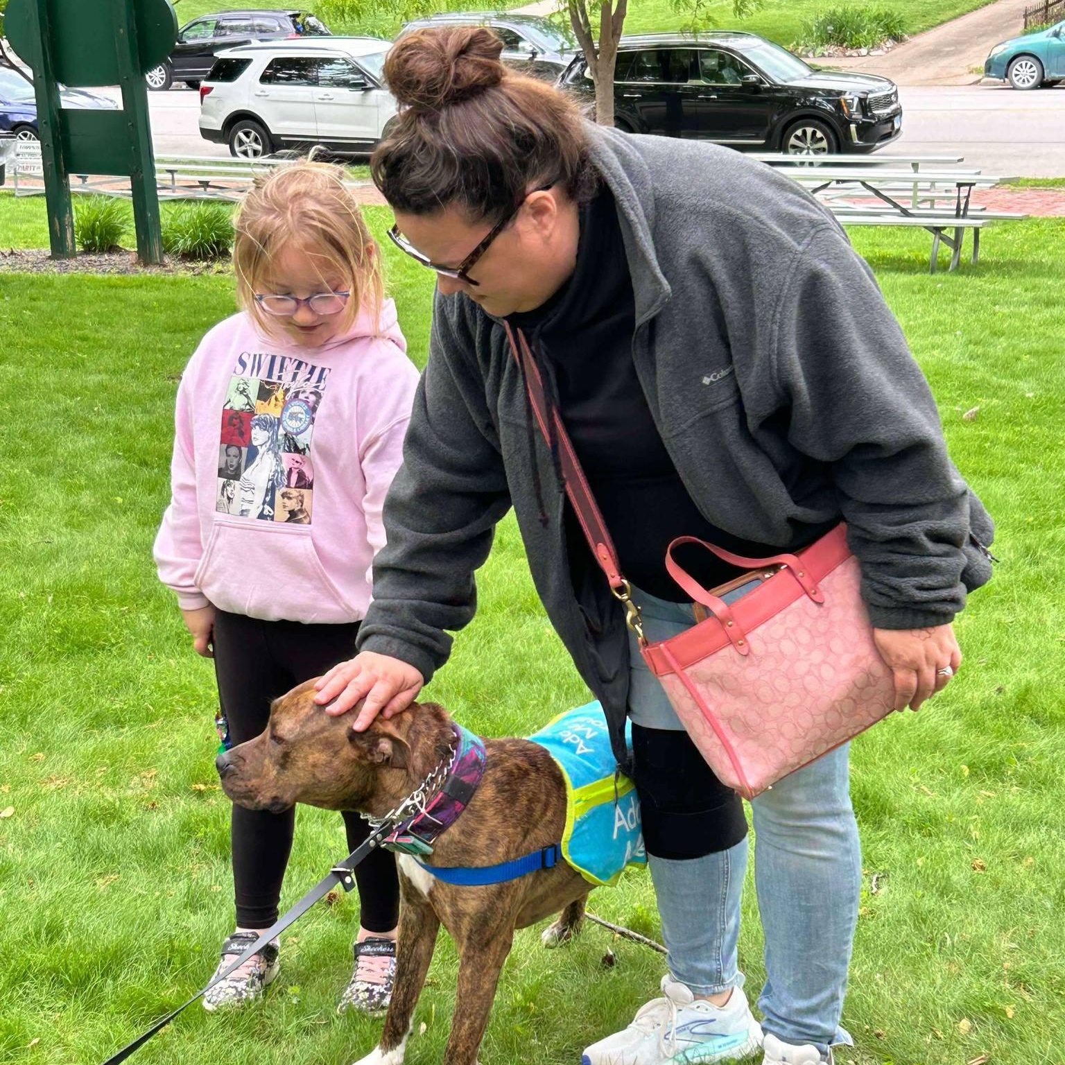 Enlarge Penny Primadona, a Adoptable mixed breed in Quincy, IL image 6/6