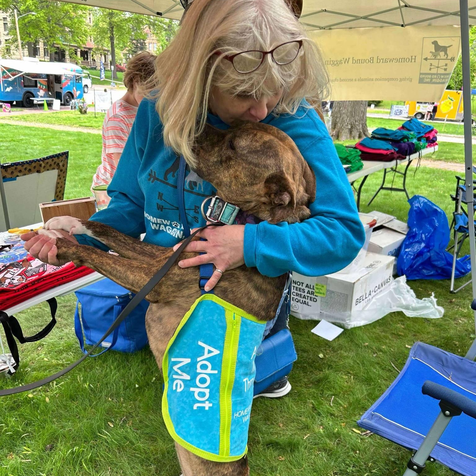 Enlarge Penny Primadona, a Adoptable mixed breed in Quincy, IL image 5/6