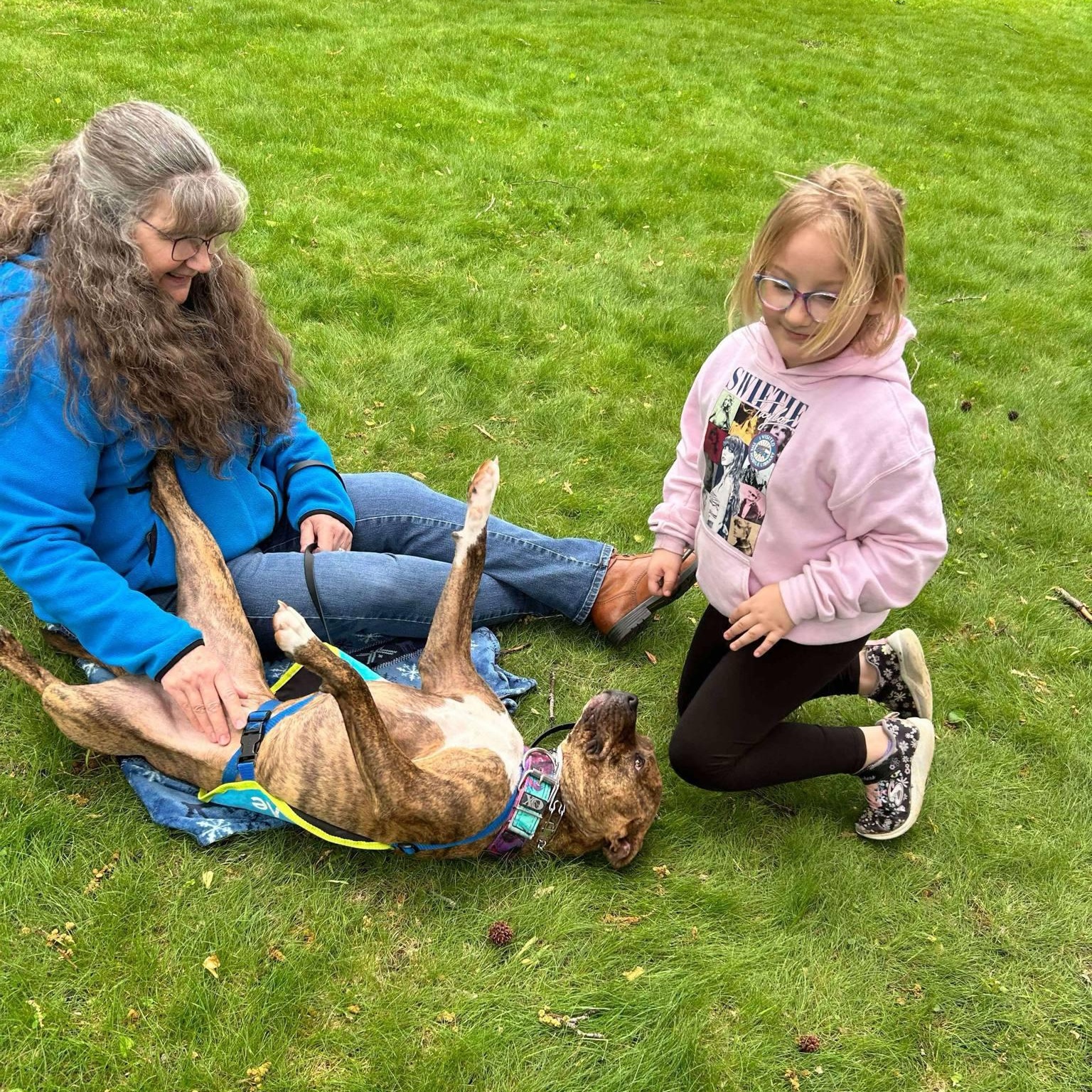 Enlarge Penny Primadona, a Adoptable mixed breed in Quincy, IL image 4/6