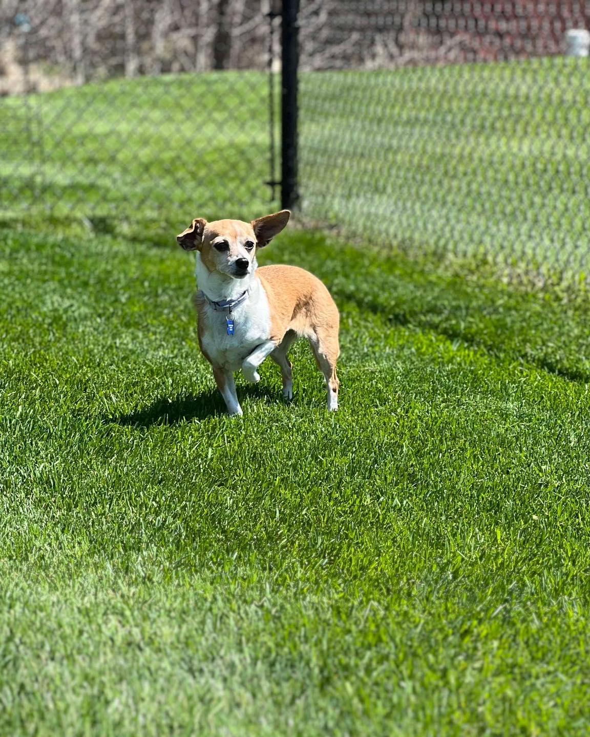 Millie photo 1