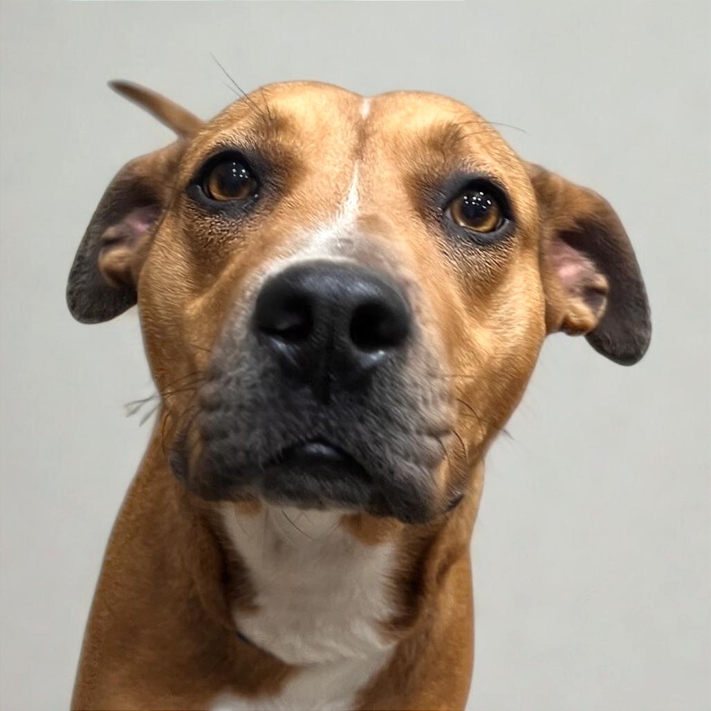 Maggie — thumbnail 2