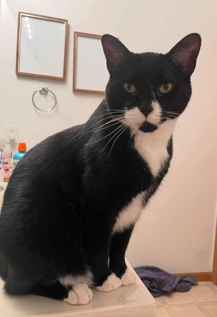 Tucker 2