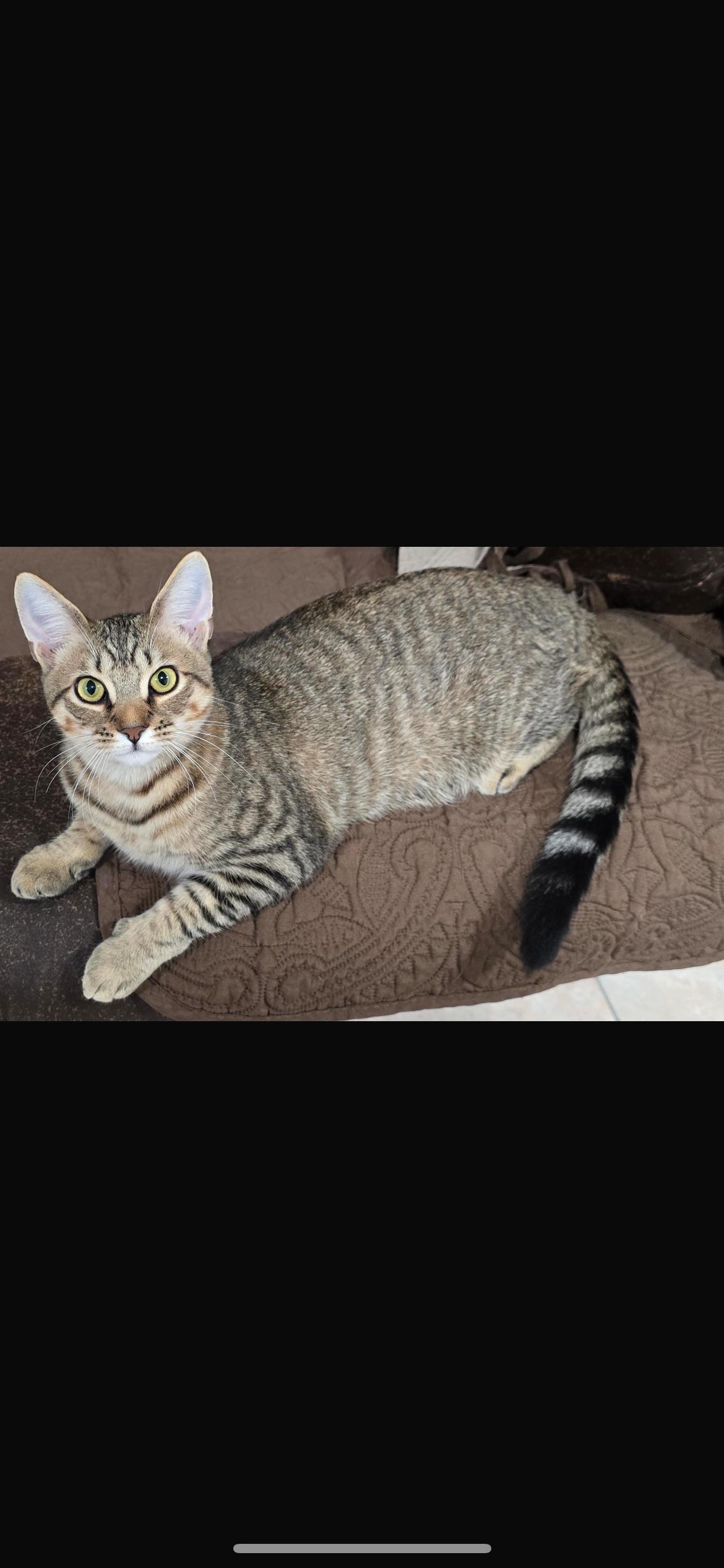 Daisy & Rose thumbnail 2