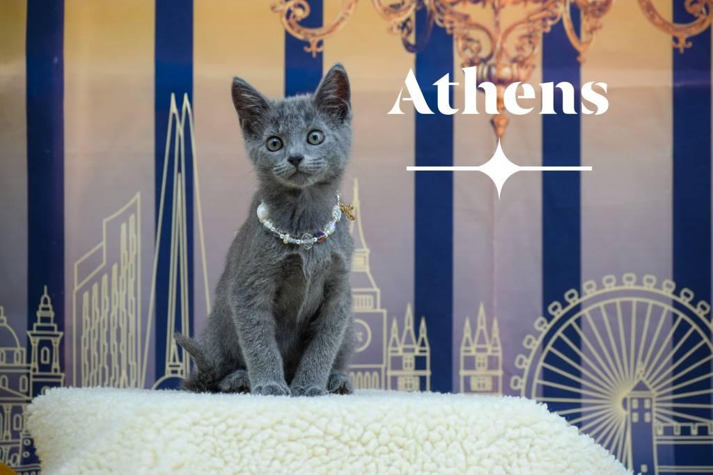 Athens