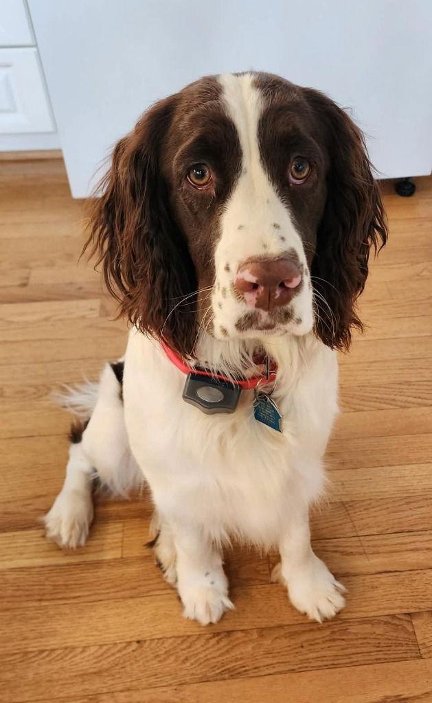 Mei Mei — thumbnail 2