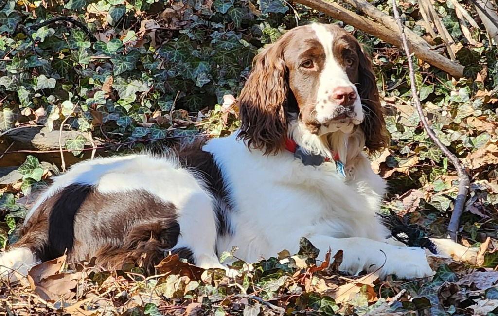 Mei Mei — thumbnail 3