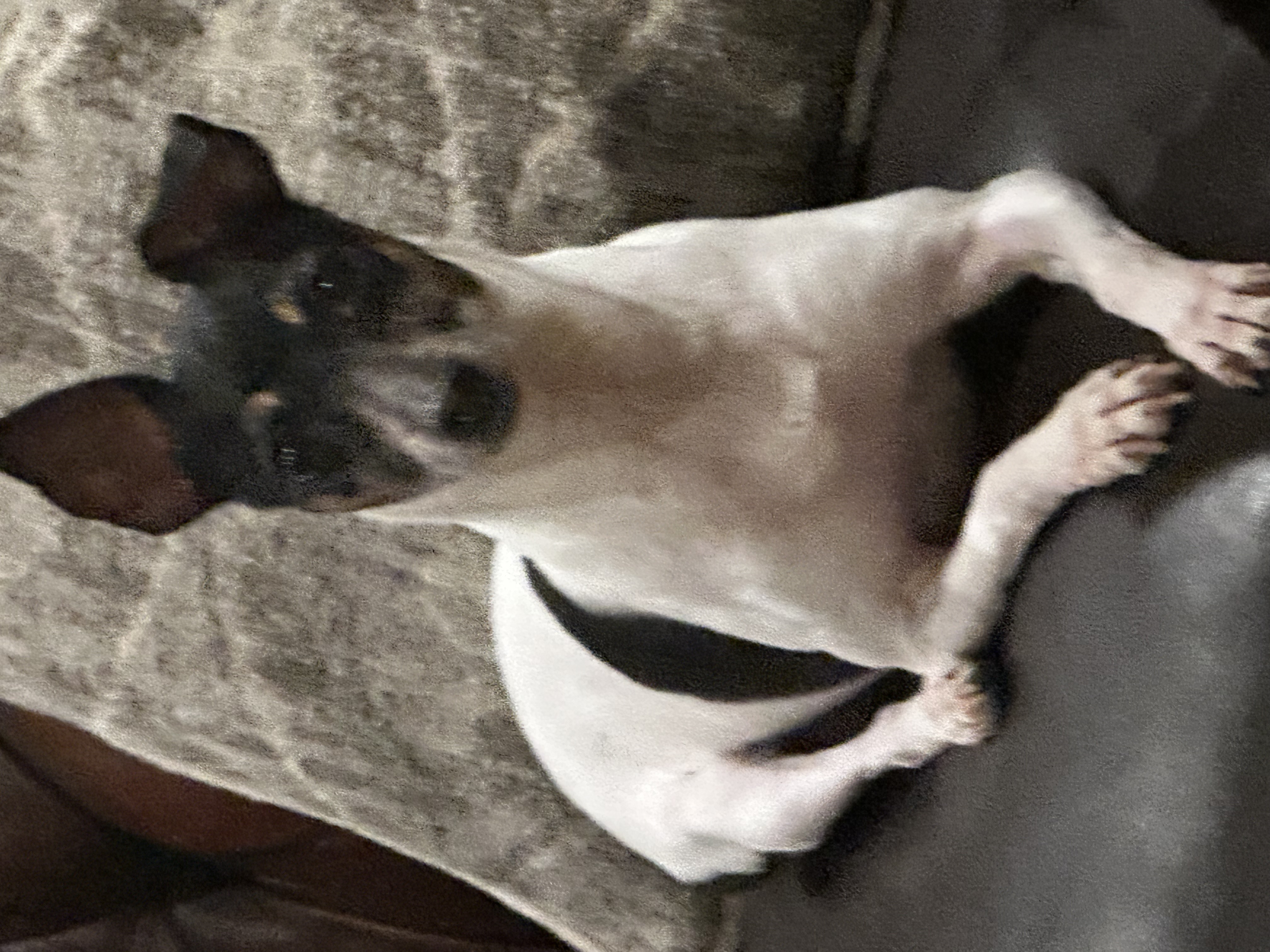 Minnie Pearl
