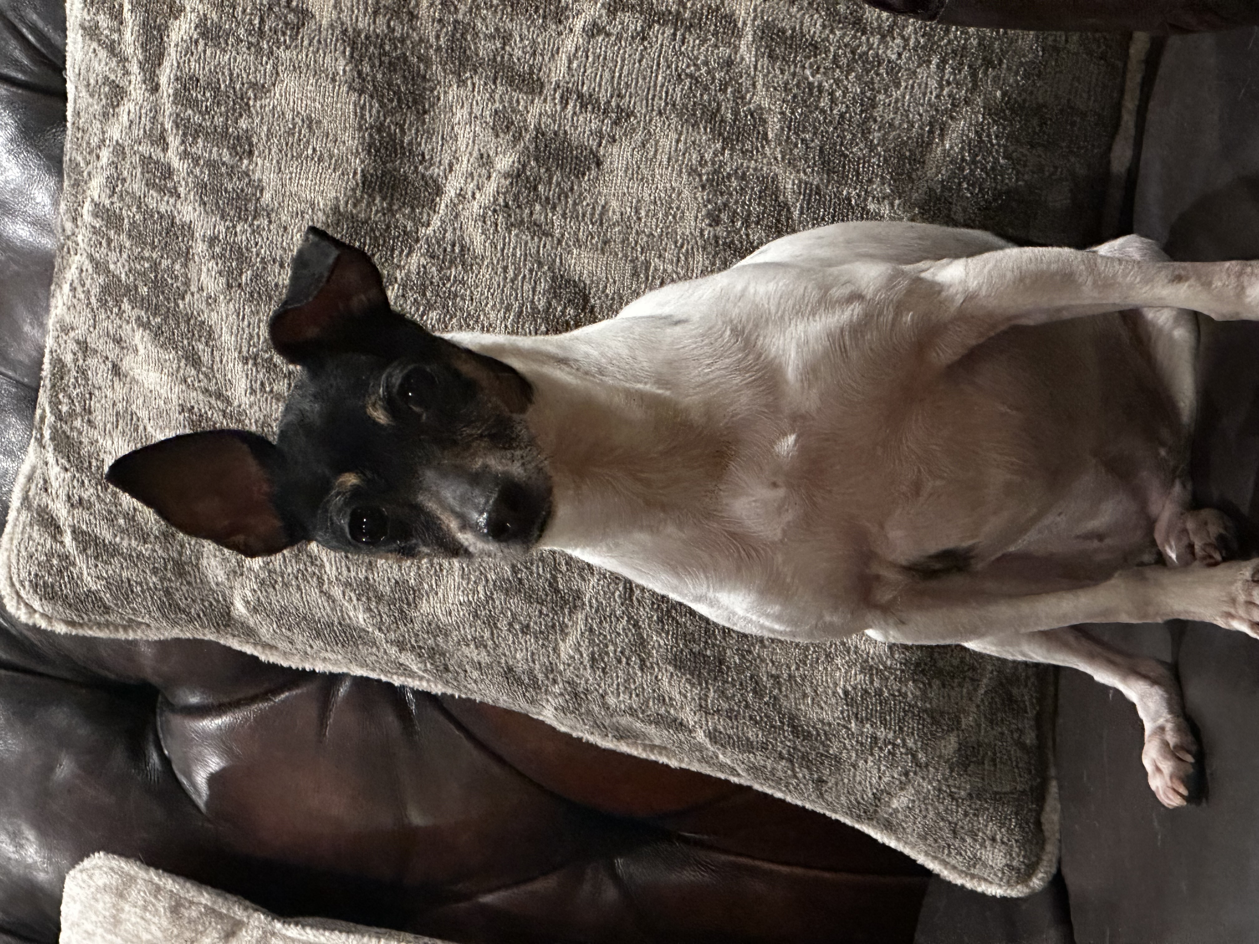 Minnie Pearl 2