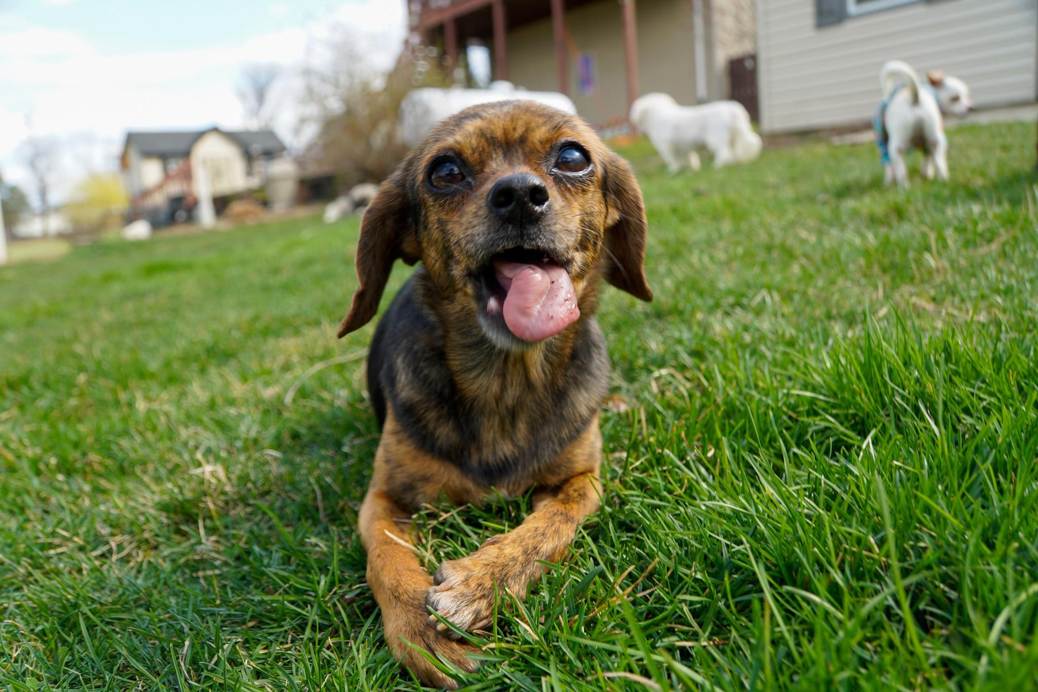 Layla photo 1
