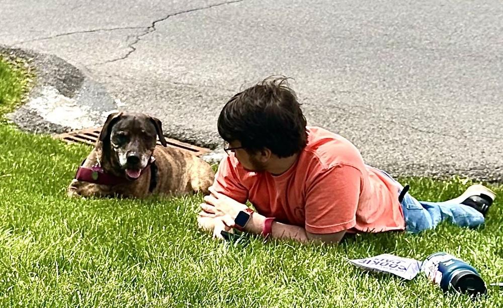 Enlarge Betty, a Adoptable mixed breed in Syracuse, NY image 3/5