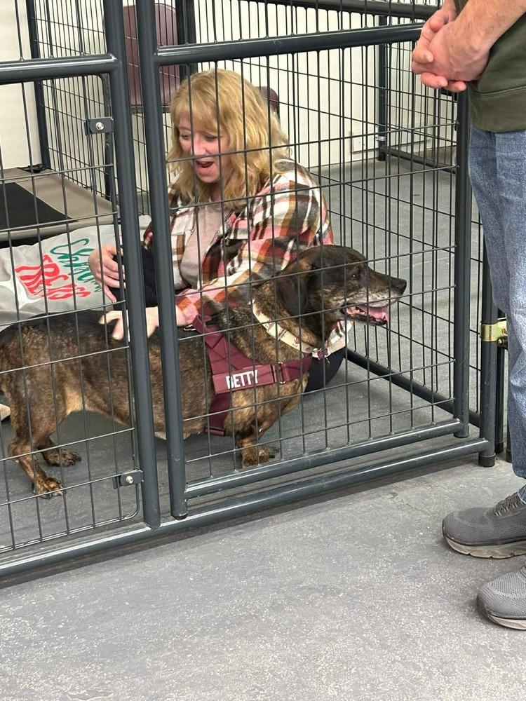 Enlarge Betty, a Adoptable mixed breed in Syracuse, NY image 6/6