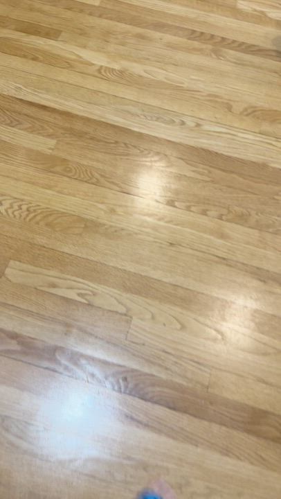 Enlarge Haven, a Adoptable Shih Tzu in Hartland, WI video 6/6