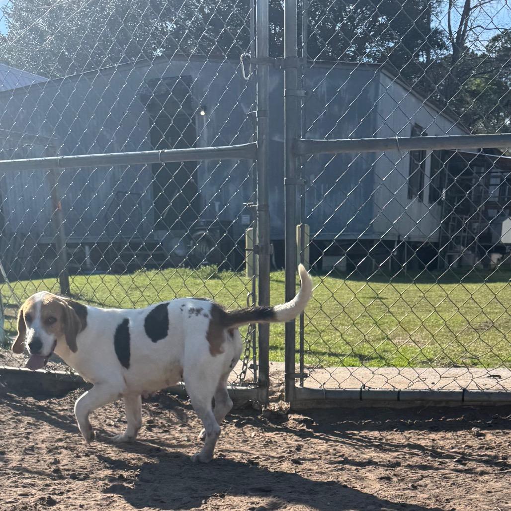 Penny Lane — thumbnail 2