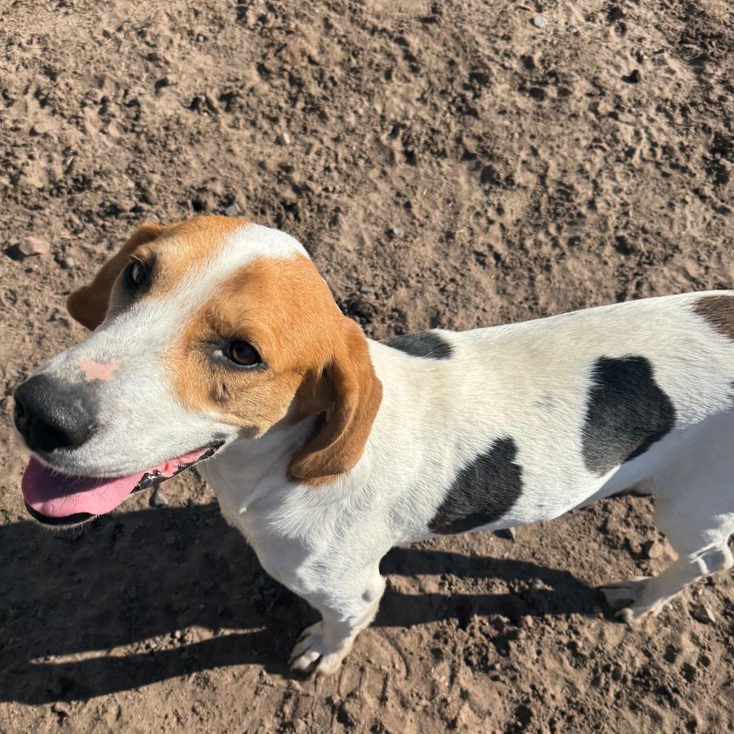 Penny Lane — thumbnail 5