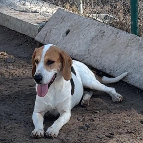 Penny Lane — thumbnail 6