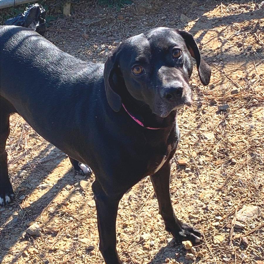 Aura — thumbnail 2