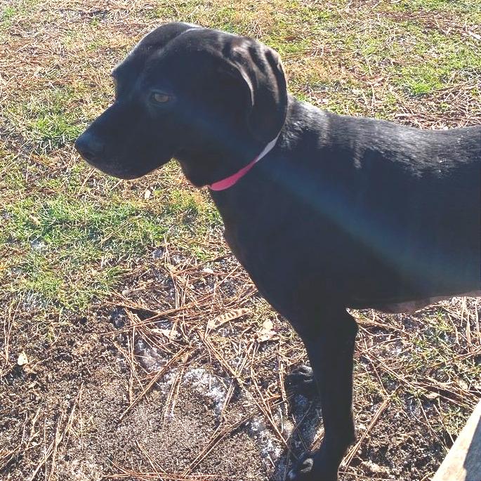 Aura — thumbnail 3