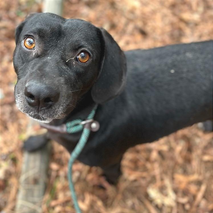 Aura — thumbnail 4