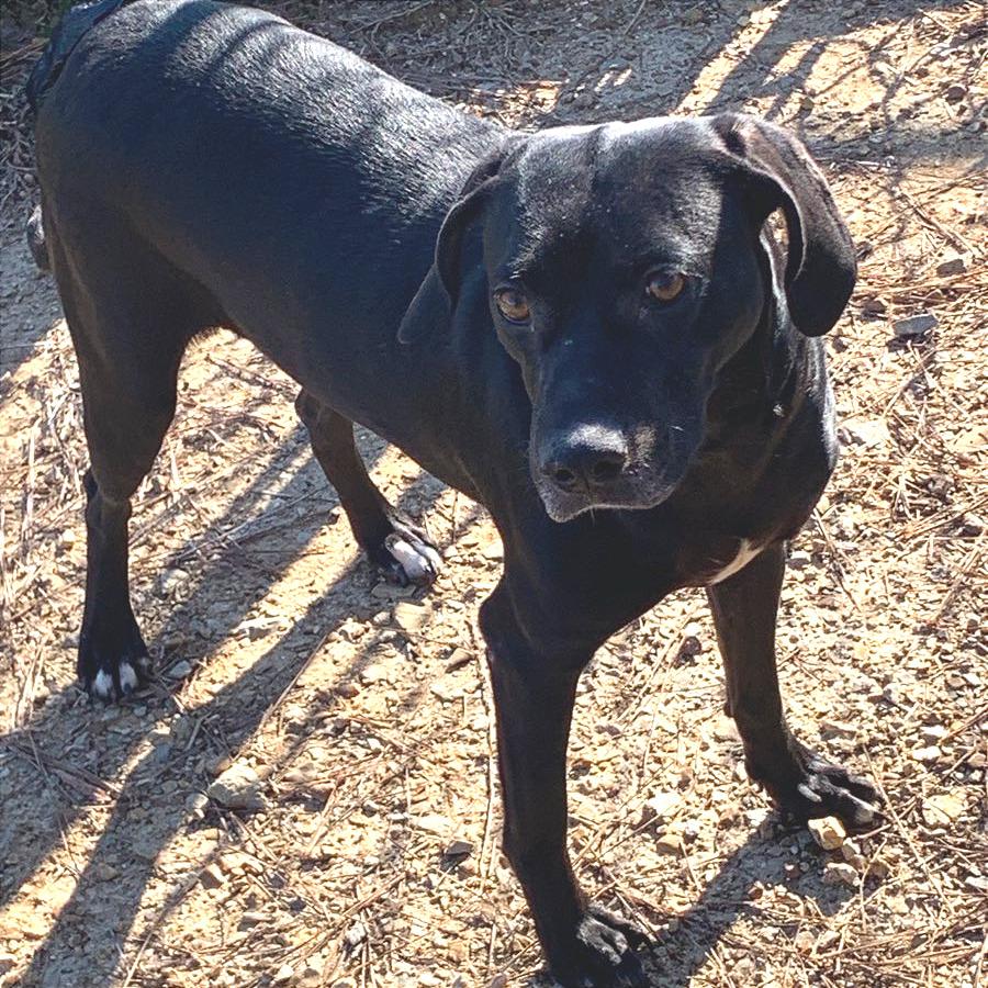 Aura — thumbnail 5