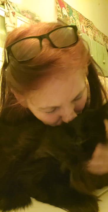 Enlarge Solo (m) 2yrs old Black Norwegian , a Adoptable Norwegian Forest Cat in Ottawa, ON video 5/5