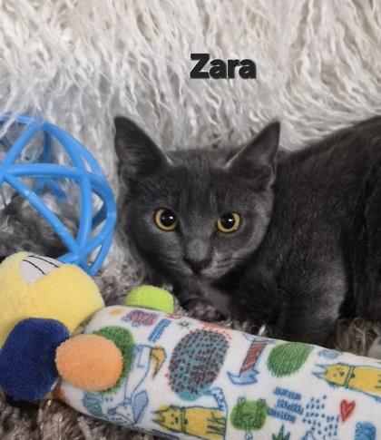 Zara photo