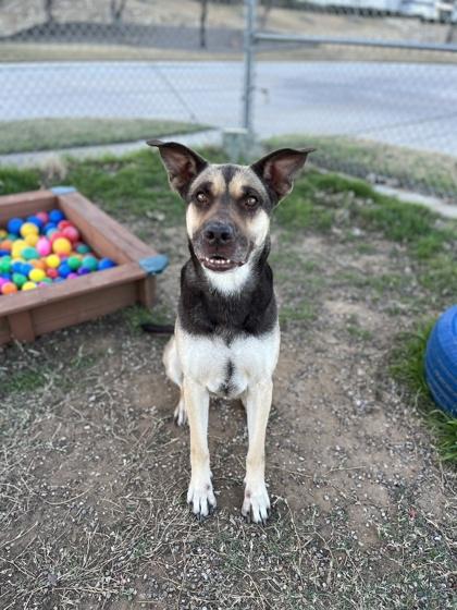 MOCHA — thumbnail 2