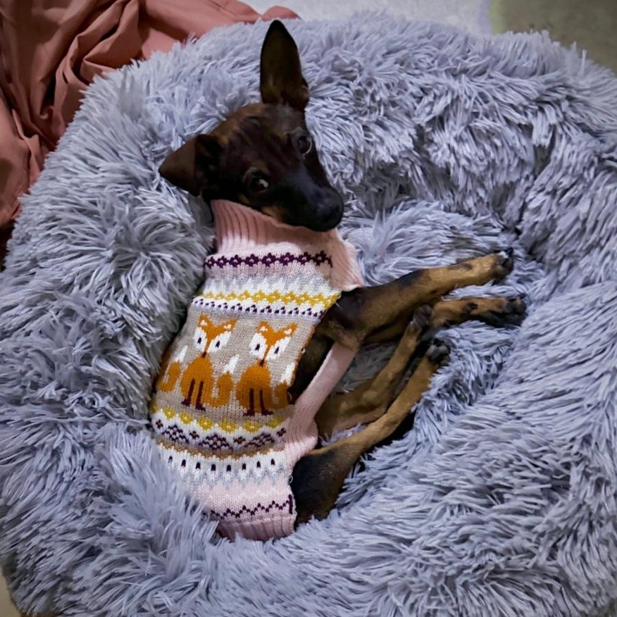 Cardi B — thumbnail 5