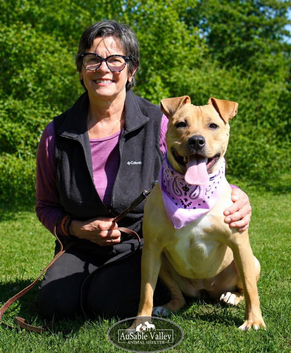 Enlarge Hula, a ADOPTABLE Mixed Breed in Grayling, MI image 2/6