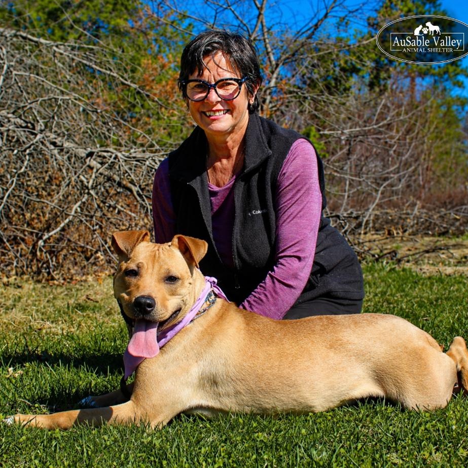 Hula, a ADOPTABLE Mixed Breed in Grayling, MI image 6/6