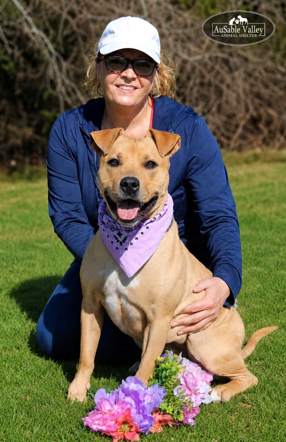 Hula, a ADOPTABLE Mixed Breed in Grayling, MI image 5/6