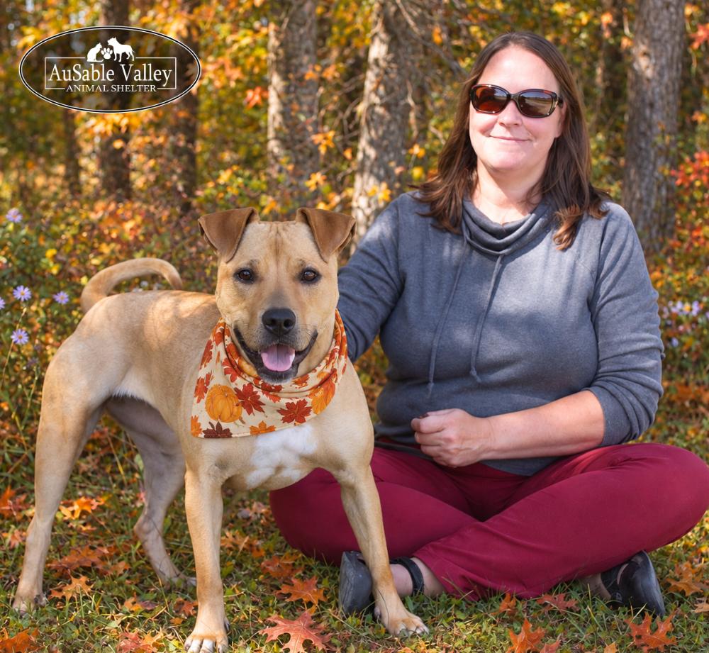 Enlarge Hula, a Adoptable Mixed Breed in Grayling, MI image 6/6