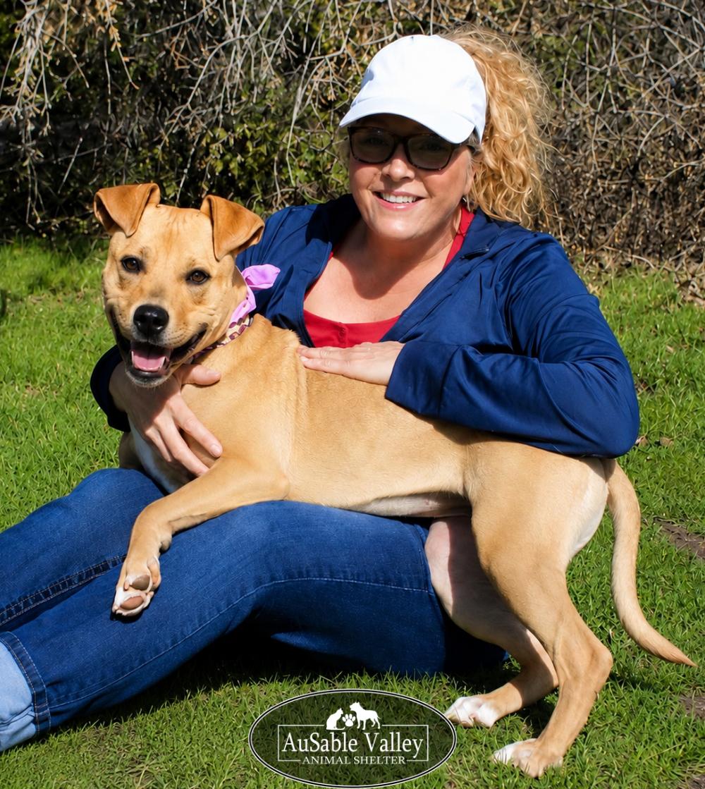 Hula, a ADOPTABLE Mixed Breed in Grayling, MI image 4/6