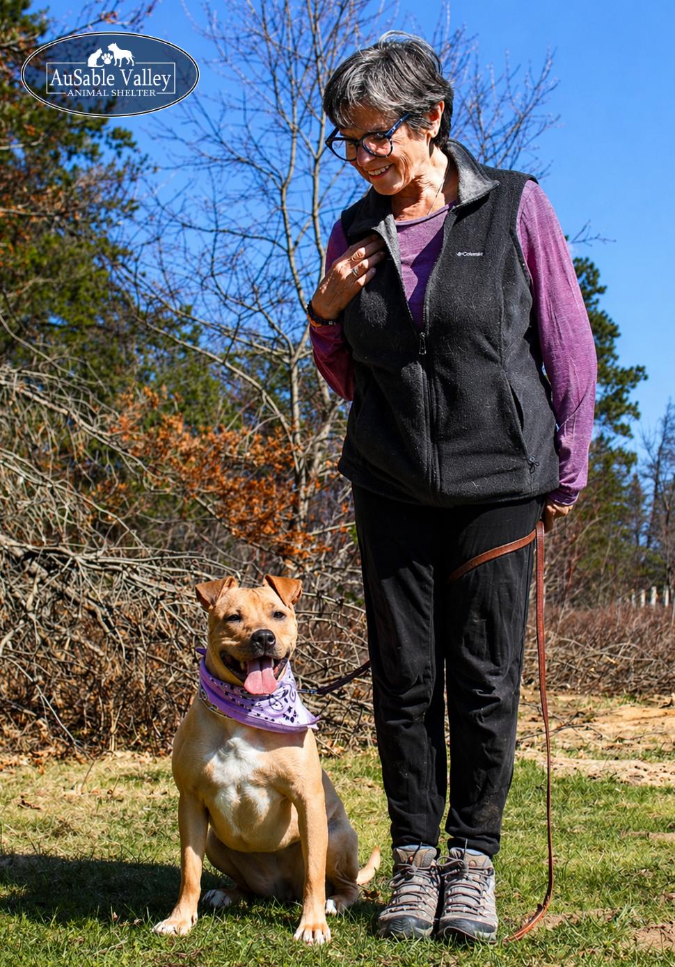 Enlarge Hula, a ADOPTABLE Mixed Breed in Grayling, MI image 6/6