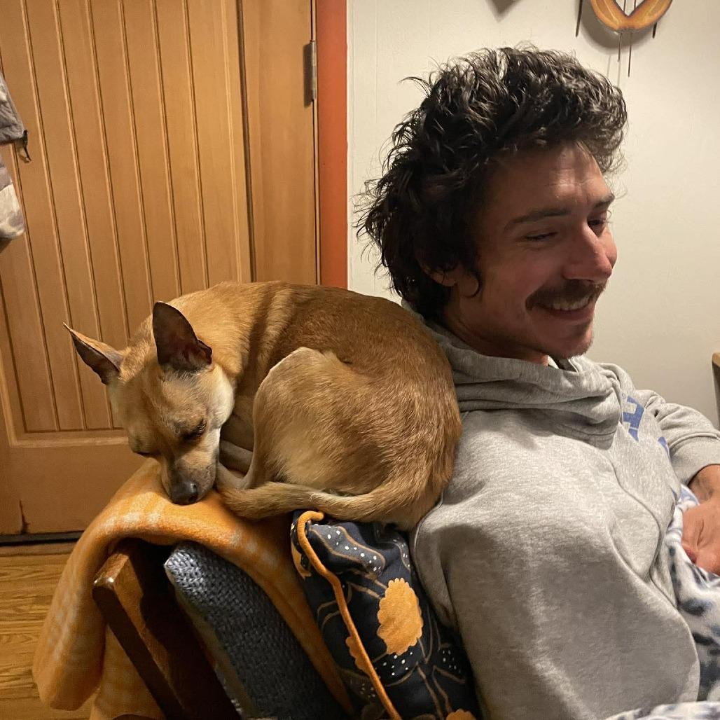 Enlarge Chewy, a Adoptable mixed breed in Bend, OR image 1/6