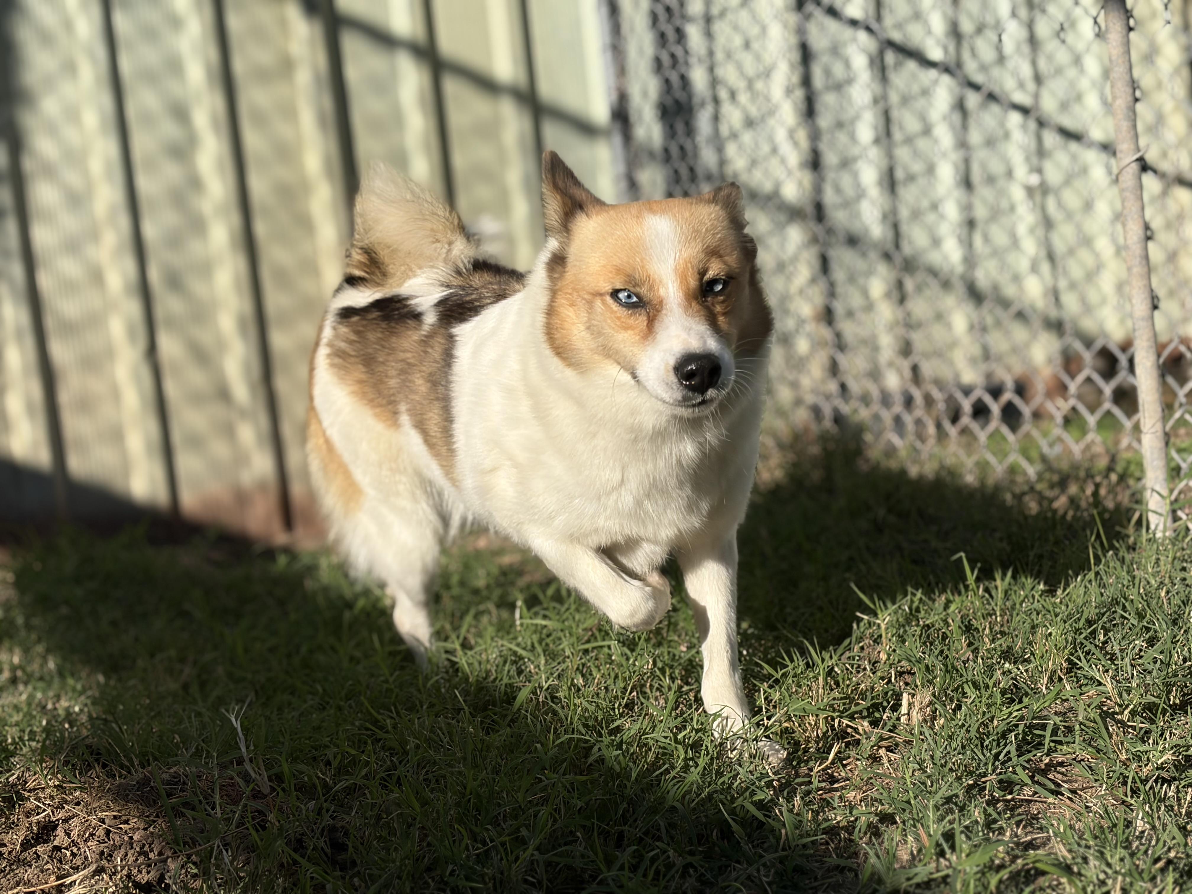 Meet Melinda — The thumbnail 2