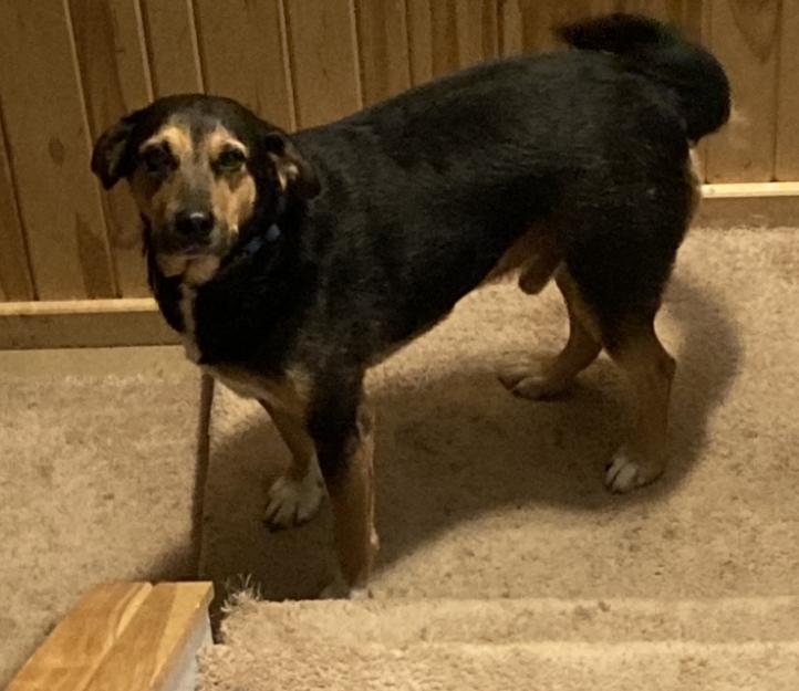 ** Courtesy Post *** Buddy