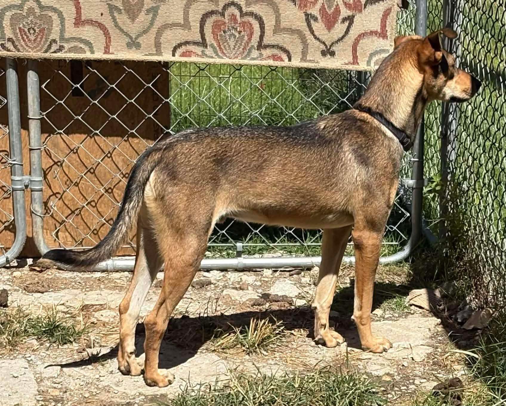 Kyle (20251214-04) — thumbnail 2