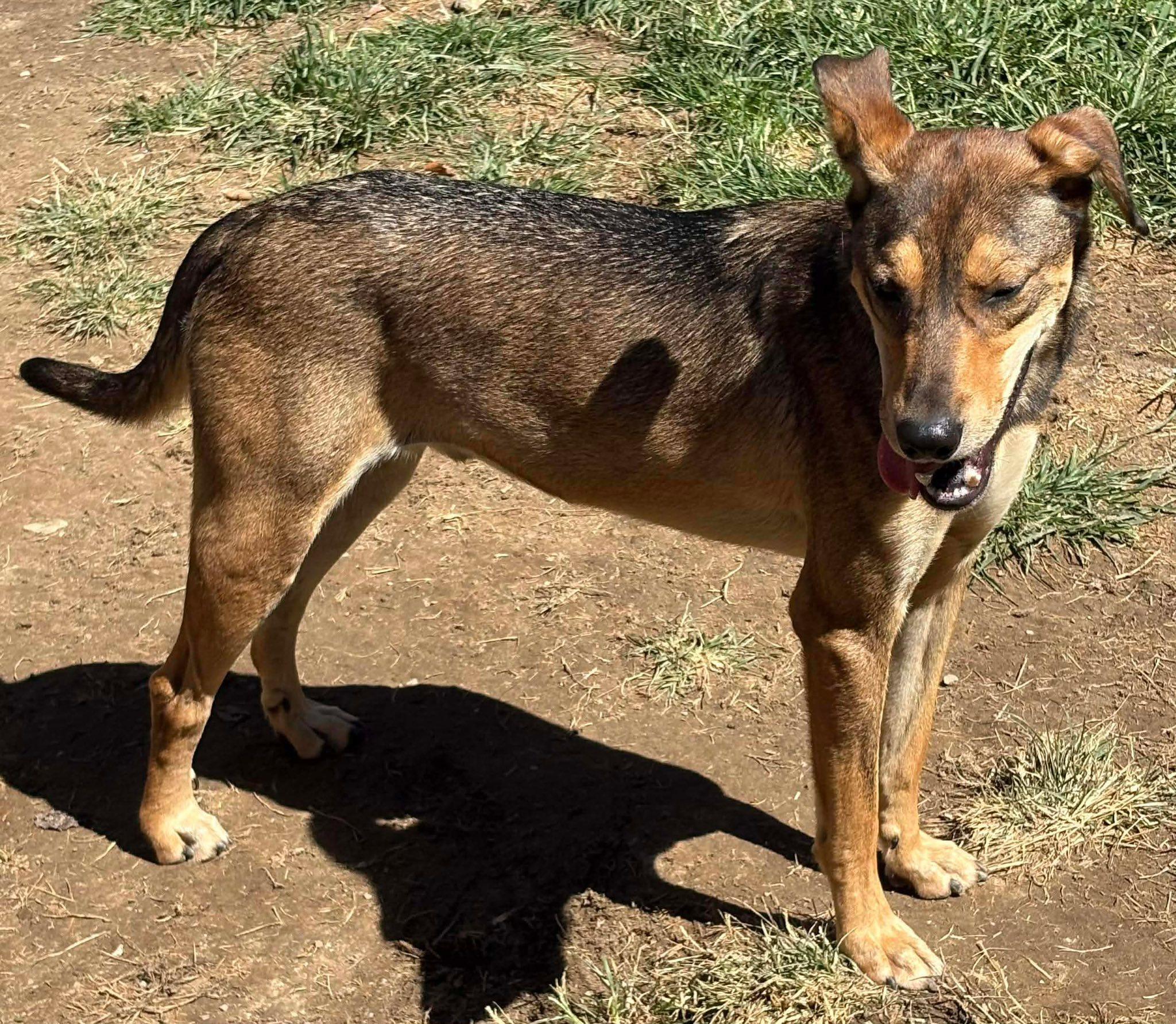 Kyle (20251214-04) — thumbnail 3