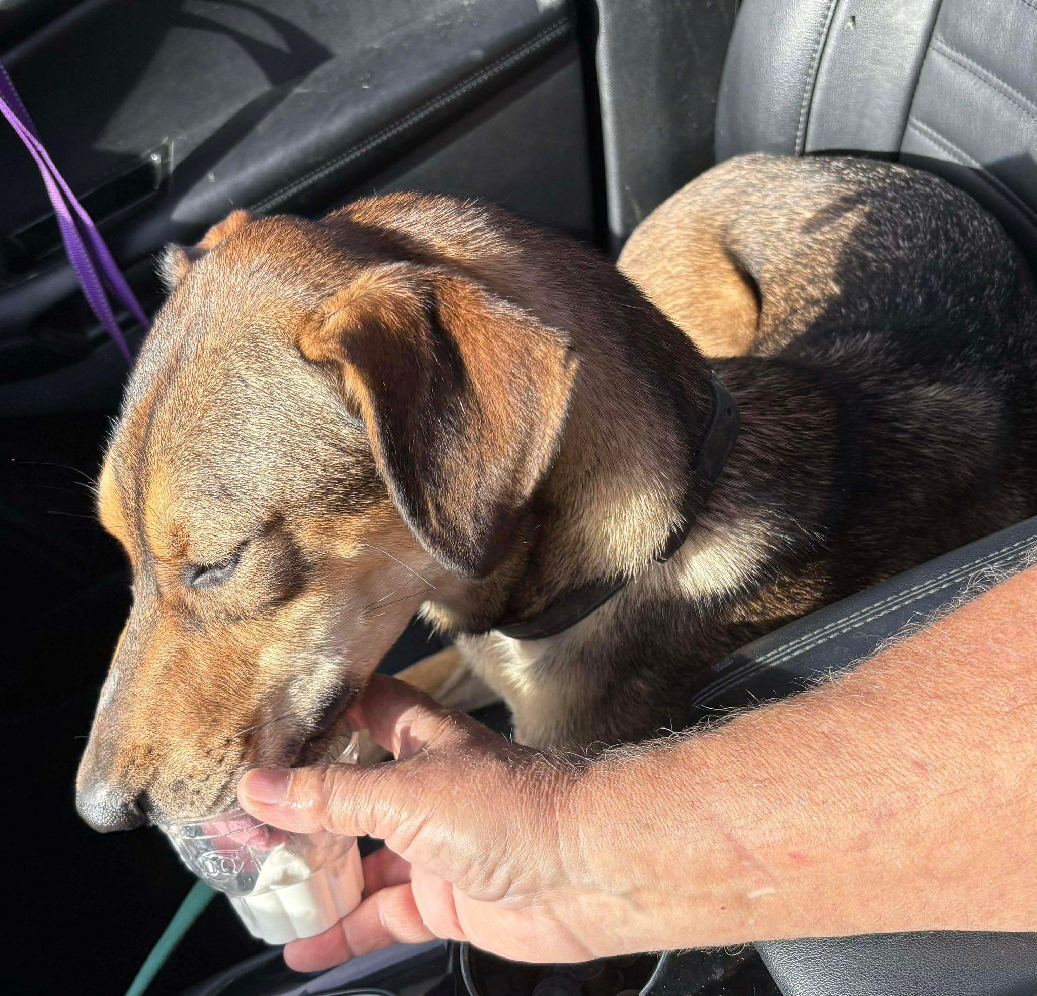 Kyle (20251214-04) — thumbnail 4