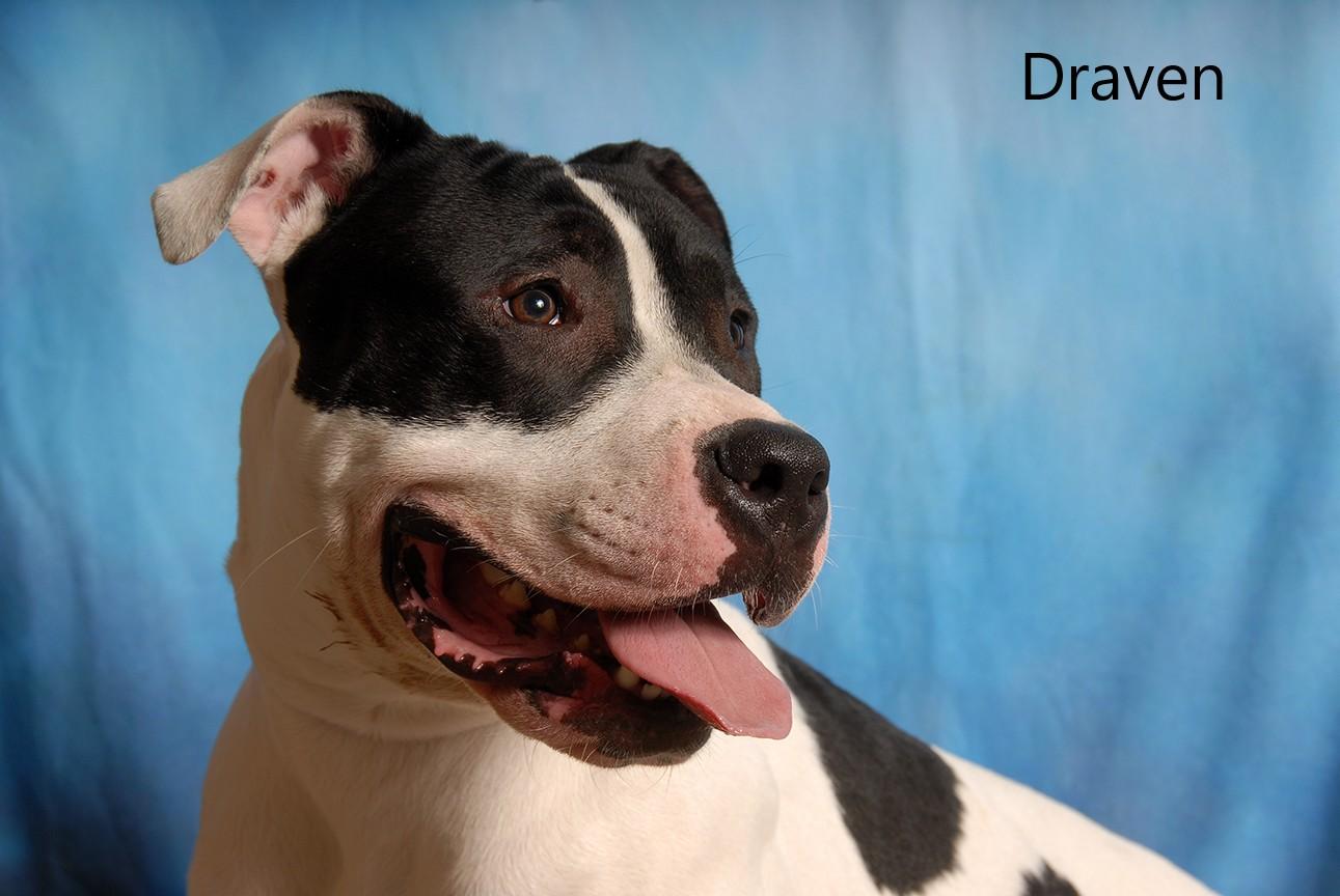 Draven