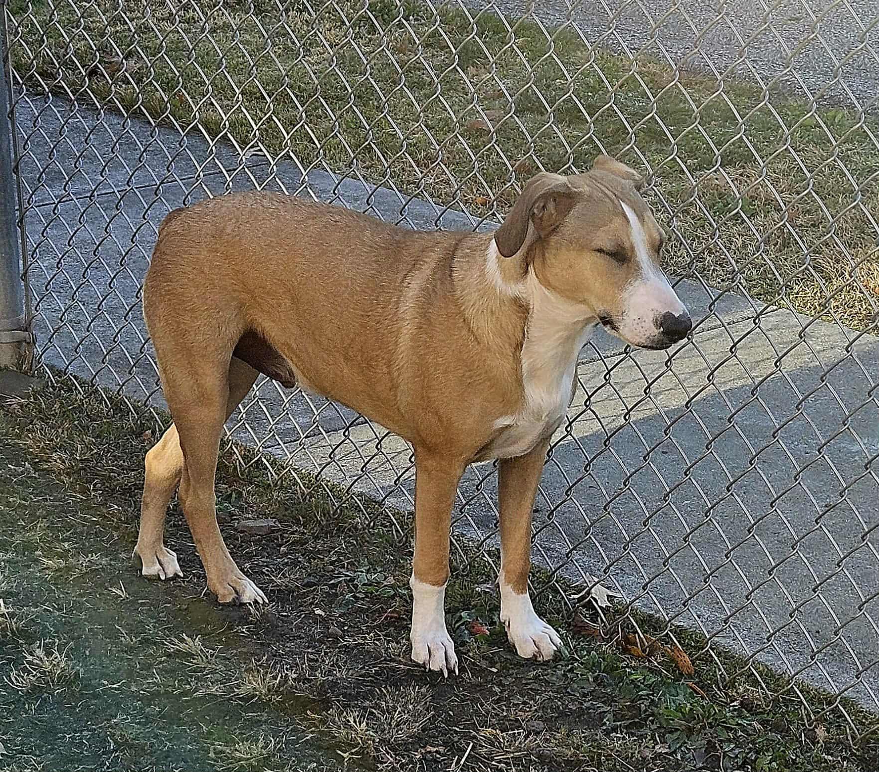 Maverick thumbnail 2