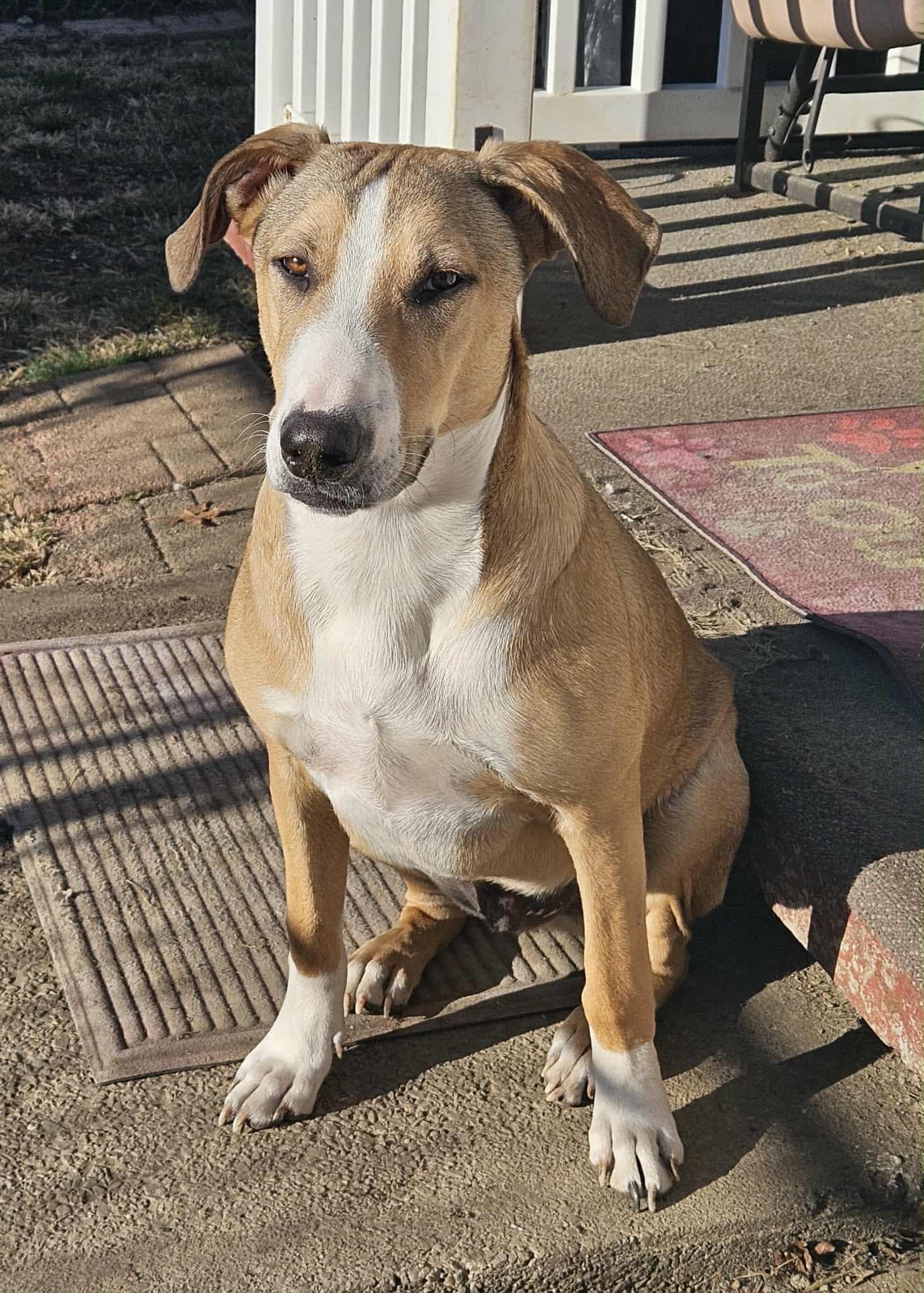 Maverick thumbnail 3