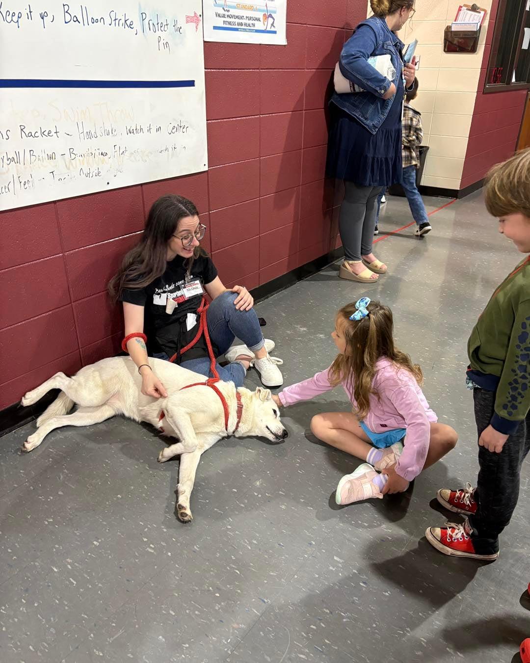Enlarge Miss Wiggles, a ADOPTABLE mixed breed in Douglas, MA image 3/6