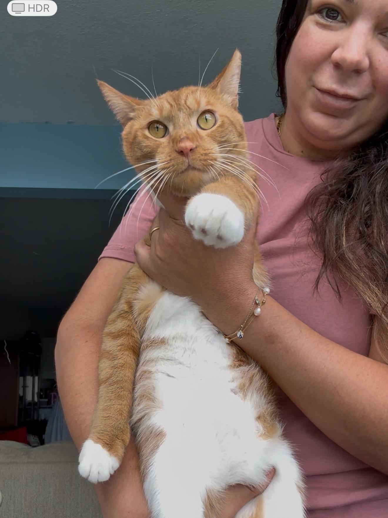 Pugsley — thumbnail 6