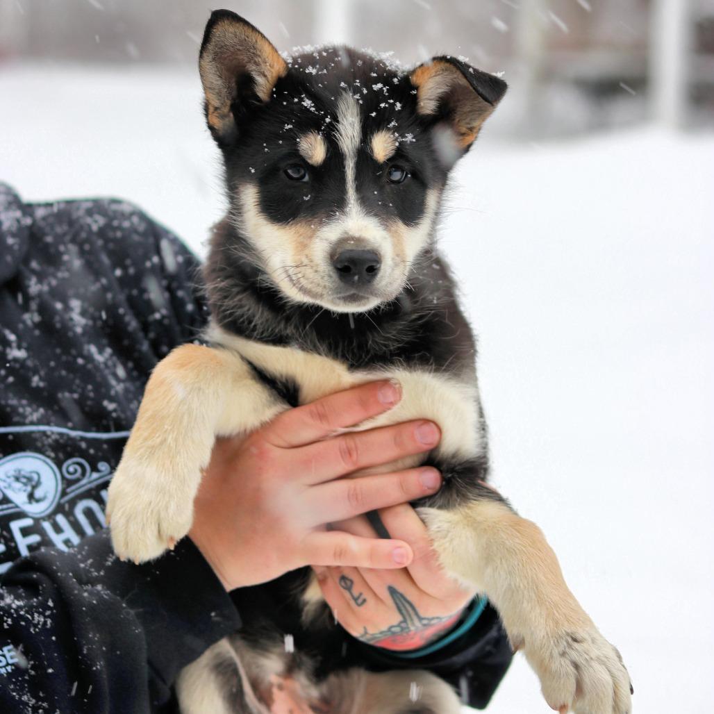 Ct Kenai thumbnail 2