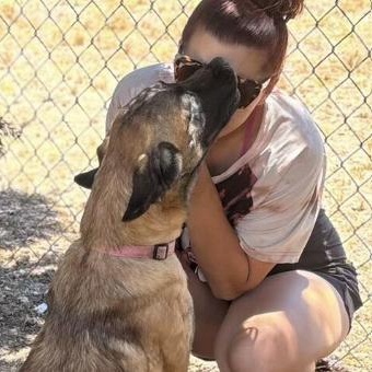 Buttercup, a Adoptable mixed breed in Oswego, IL image 6/6