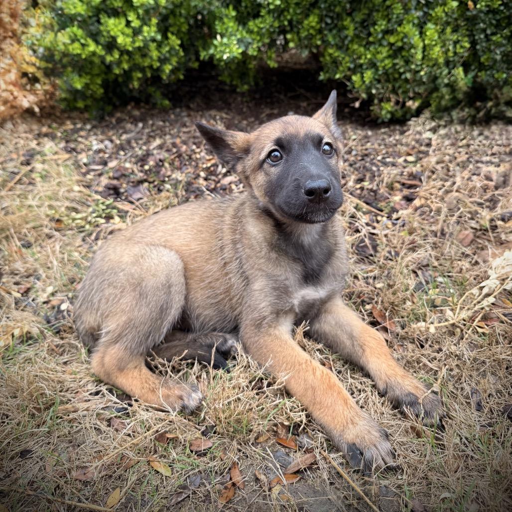 Zara Violet — thumbnail 5