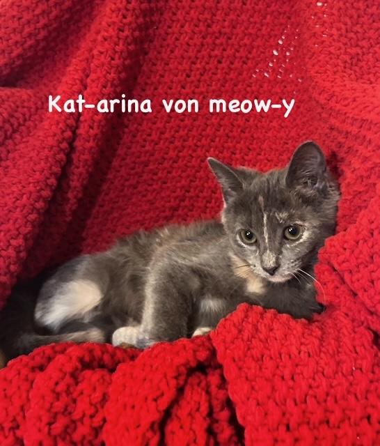 Katarina Von Meowy thumbnail 2