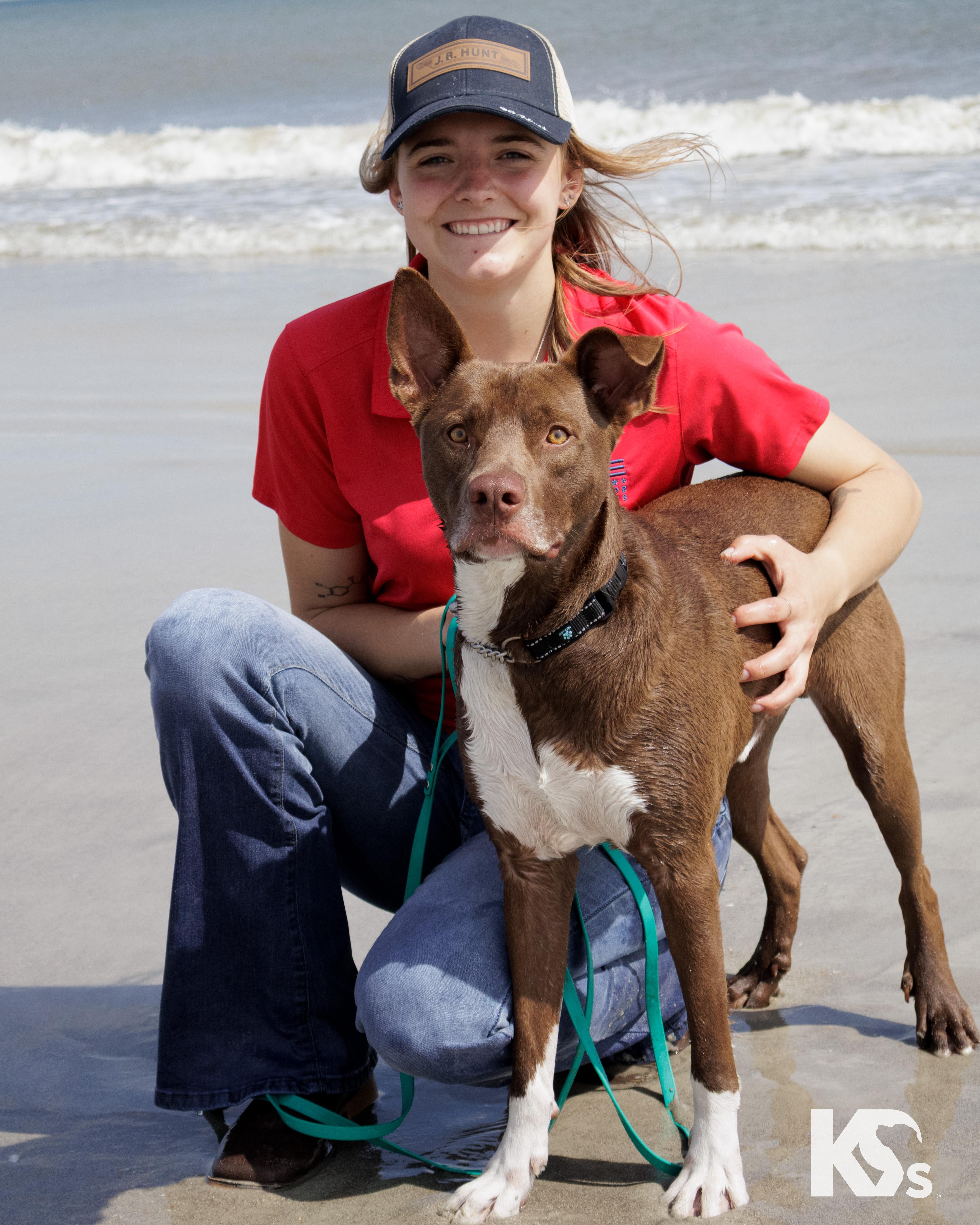 Enlarge Bucky, a Adoptable mixed breed in Ponte Vedra, FL image 6/6